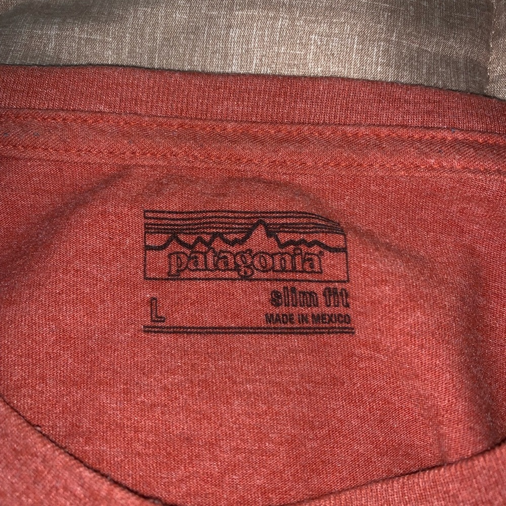 Patagonia T-shirt